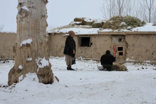 Casovi harmonije (4)