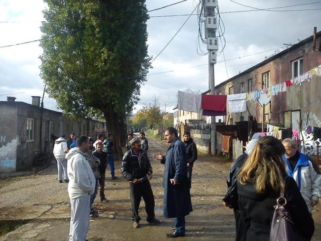 11002588_1154433271251650_8727685127059334570_n